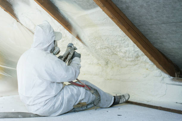 Best Insulation Removal  in USA